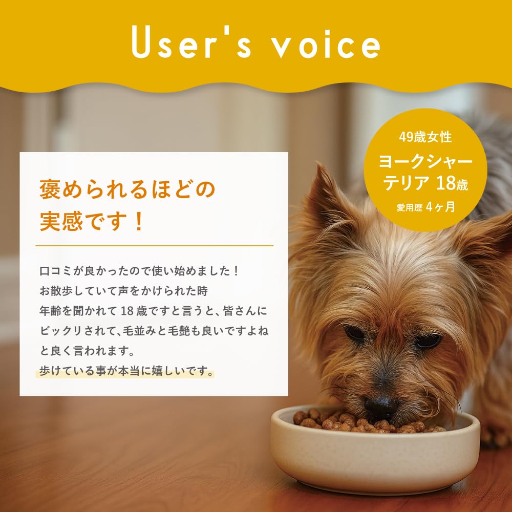 Amazon | 【獣医師監修】うちの関節サポート （90粒/1袋） 犬 猫